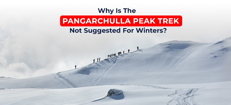Why Is The Pangarchulla Peak Trek Not Suggested For Winters?